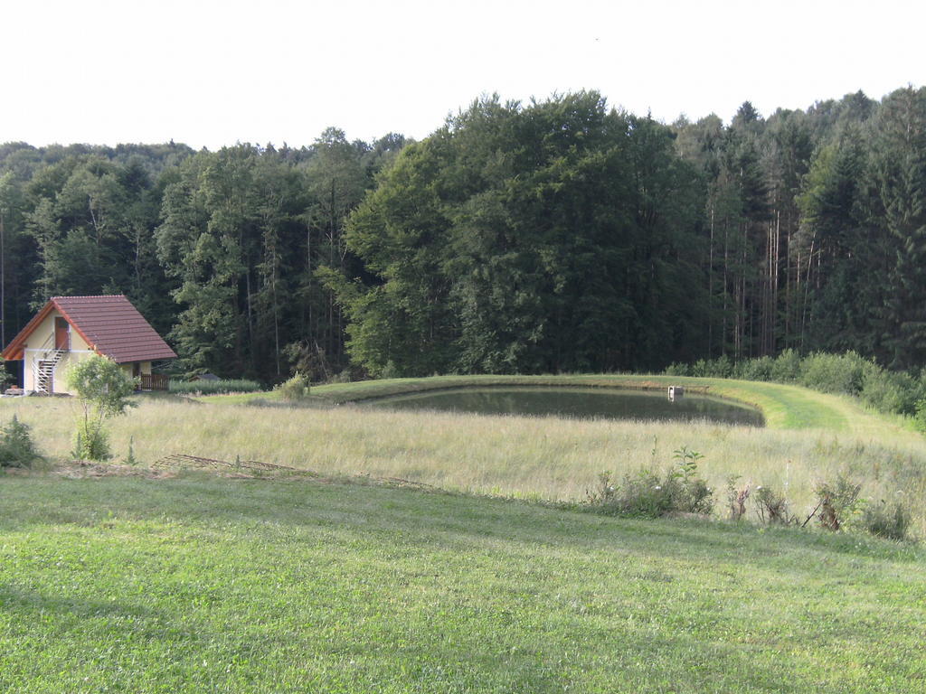 Biobauernhof Drei Finken Villa Bad Gams Exterior foto